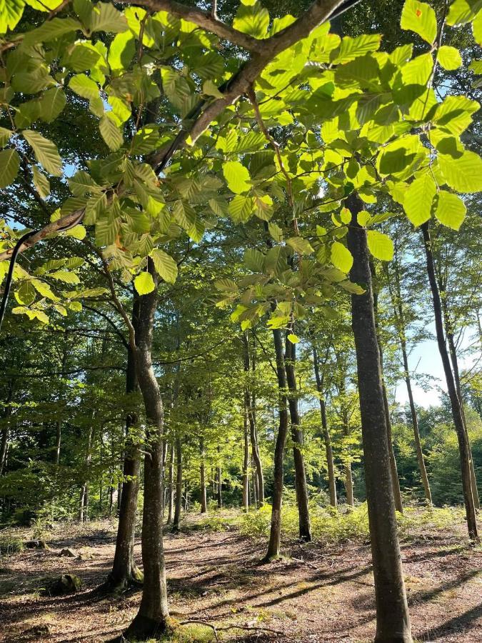 Naturglamping Kristianstads kommun Eksteriør billede
