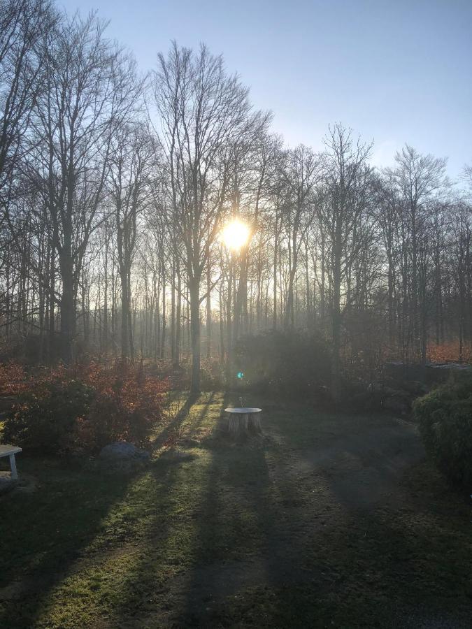 Naturglamping Kristianstads kommun Eksteriør billede