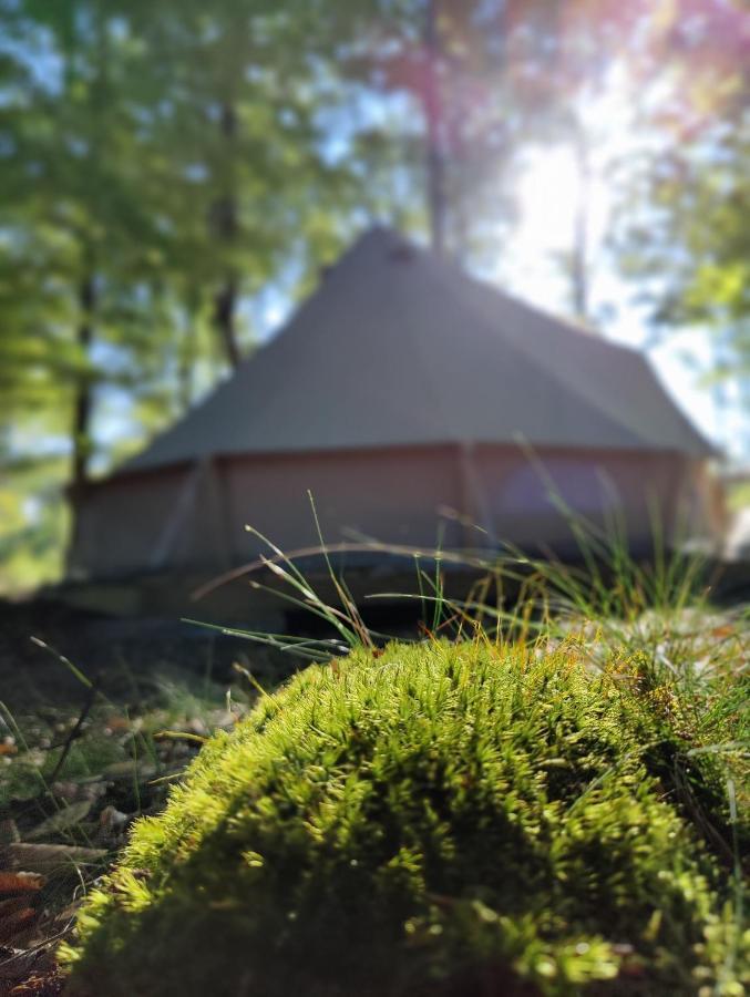 Naturglamping Kristianstads kommun Eksteriør billede